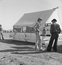Migratory workers, pea harvest, FSA migratory labor..., Calipatria, Imperial County, 1939. Creator: Dorothea Lange.