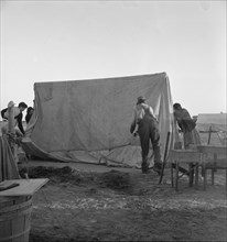 FSA migratory labor camp (emergency), Calipatria, Imperial Valley, CA, 1939. Creator: Dorothea Lange.