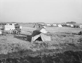Families camped on flat before season opens..., near Merrill, Klamath County, Oregon, 1939 Creator: Dorothea Lange.