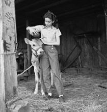 Young girl, daughter of small pear farmer tends her calf, near Medford, Oregon, 1939. Creator: Dorothea Lange.