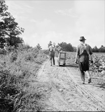 Possibly: Mr. Taylor and wage laborer slide tobacco..., Granville County, North Carolina, 1939. Creator: Dorothea Lange.