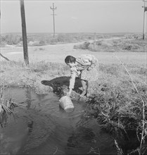 Mrs. Bartheloma dipping water from irrigation ditch..., Nyssa Heights, Malheur County, Oregon, 1939. Creator: Dorothea Lange.