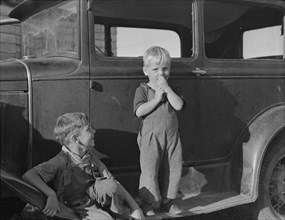 Possibly: Bean pickers' children came from Kansas..., near West Stayton, Marion County, Oregon, 1939 Creator: Dorothea Lange.