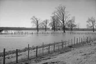 The Bessie Levee, along a subsid...Mississippi River, near Tiptonville, Tennessee, 1937. Creator: Walker Evans.