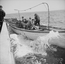 On board the fishing boat Alden, out of Gloucester, Massachusetts, 1943. Creator: Gordon Parks.