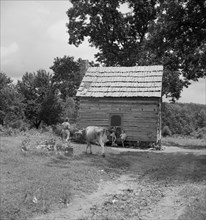 Log home of non-farm family, Orange County, North Carolina, 1939. Creator: Dorothea Lange.