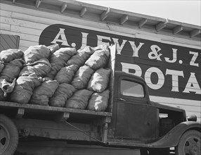Potato shed during season, across the road..., Tulelake, Siskiyou County, California, 1939 Creator: Dorothea Lange.