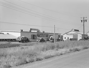 Potato sheds during season, across the road from the..., Tulelake, Siskiyou County, California, 1939 Creator: Dorothea Lange.