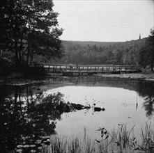 Bridge and background scenery, Camp Gaylord White, Arden, New York, 1943. Creator: Gordon Parks.