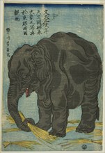 Picture of Large Elephant from India (Tenjiku hakurai dai zo no shashin), An Attraction at..., 1863. Creator: Yoshikazu.