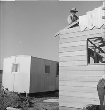 Father and son, recent migrants to California, building house, Salinas, California, 1939. Creator: Dorothea Lange.