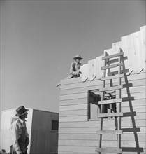 Father and son, recent migrants to California, building house, Salinas, California, 1939. Creator: Dorothea Lange.