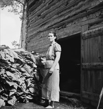 Possibly: Wives of tobacco tenants pile the tobacco..., Granville County, North Carolina, 1939. Creator: Dorothea Lange.