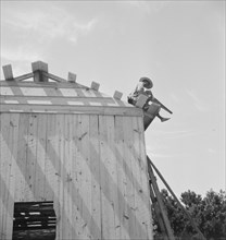 Building barn for tobacco, near Chapel Hill, North Carolina, 1939. Creator: Dorothea Lange.