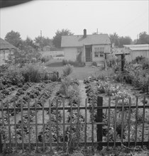 In Sumac Park, Yakima, Washington, 1939. Creator: Dorothea Lange.