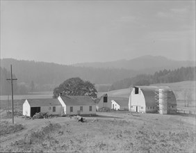 Unit no. 32 of Yamhill farms, Oregon, 1939. Creator: Dorothea Lange.