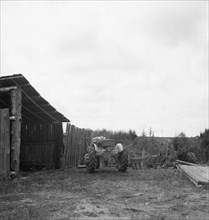 Arnold yard, Michigan Hill, Thurston County, Western Washington, 1939. Creator: Dorothea Lange.