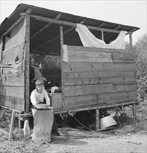 Grower provides fourteen such shacks in a row..., near Grants Pass, Josephine County, Oregon, 1939. Creator: Dorothea Lange.