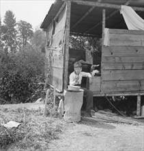 Grower provides fourteen such shacks..., near Grants Pass, Josephine County, Oregon, 1939. Creator: Dorothea Lange.