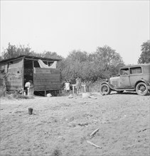 Grower provides fourteen such shacks..., near Grants Pass, Josephine County, Oregon, 1939. Creator: Dorothea Lange.