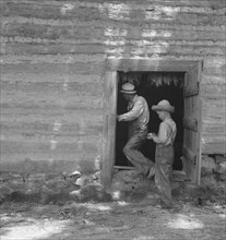 Coming out of tobacco barn in which tobacco is being cured, Granville County, North Carolina, 1939. Creator: Dorothea Lange.