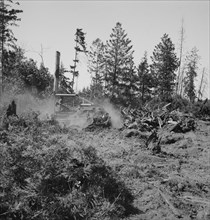 Bulldozer clearing and pushing stumps..., near Vader, Lewis County, Western Washington, 1939. Creator: Dorothea Lange.