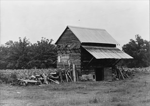 The tobacco barn, a distinctive American architectural form, Person County, North Carolina, 1939. Creator: Dorothea Lange.