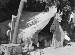 Bean pickers tent, one of fourteen in a group..., near West Stayton Marion County, Oregon, 1939. Creator: Dorothea Lange.