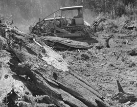 Possibly: Bulldozer equipped with grader..., near Vader, Lewis County, Western Washington, 1939. Creator: Dorothea Lange.