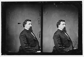 Stover, Hon. John Hubler of Missouri, 40th Congress, between 1860 and 1870. Creator: Unknown.