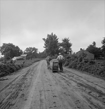 Mr. Taylor and wage laborer slide the tobacco to barn..., Granville County, North Carolina, 1939. Creator: Dorothea Lange.