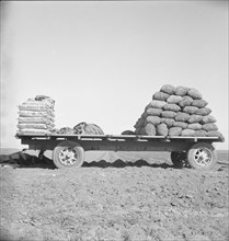 Supply of fertilizer and potato seed on edge of field..., Kern County, California, 1939. Creator: Dorothea Lange.