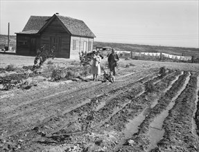 The Schroeder family, Dead Ox Flat, Malheur County, Oregon, 1939. Creator: Dorothea Lange.