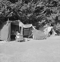 Camp representative of fourteen in group, near West Stayton, Marion County, Oregon, 1939. Creator: Dorothea Lange.