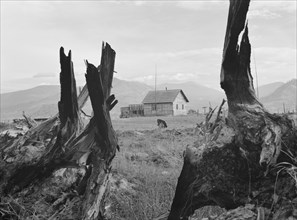 Evanson new home, looking across land..., Priest River Valley, Bonner County, Idaho, 1939. Creator: Dorothea Lange.