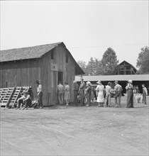 Part of the lineup at paymaster's window..., near Grants Pass, Oregon, 1939. Creator: Dorothea Lange.