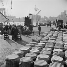 Barrels of fish caught off the New England coast waiting to be shipped to..., New York, 1943. Creator: Gordon Parks.