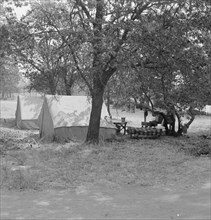 The grower provided clean tents and a shady..., near Grants Pass, Josephine County, Oregon, 1939. Creator: Dorothea Lange.