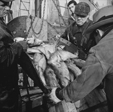 Possibly: New England fishermen unloading fish at Fulton fish market, New York, 1943. Creator: Gordon Parks.
