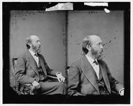 Senator Thomas Collier Platt of New York, 1865-1880. Creator: Unknown.