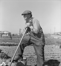 Farmer who has small plot...on outskirts of Salinas, CA, 1939. Creator: Dorothea Lange.