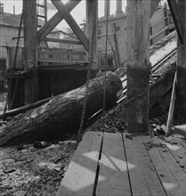 At Pelican Bay Lumber mill logs enter..., near Klamath Falls, Klamath County, Oregon, 1939 Creator: Dorothea Lange.