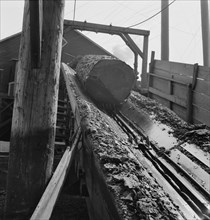 At Pelican Bay Lumber mill logs enter the mill by...near Klamath Falls, Klamath County, Oregon, 1939 Creator: Dorothea Lange.