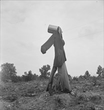 Possibly: Scarecrow on a newly cleared field with stumps near Roxboro, North Carolina, 1939. Creator: Dorothea Lange.