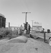 Living conditions for migrant potato pickers, Siskiyou County, California, 1939. Creator: Dorothea Lange.