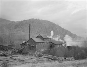 Small private lumber mill still operating in region..., Boundary County, Idaho, 1939. Creator: Dorothea Lange.