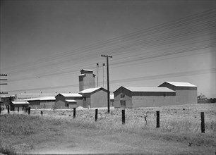 Winery belonging to Muscat Cooperative, on US 99. between Tulare and Fresno, California, 1939. Creator: Dorothea Lange.