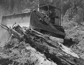 Catskinner and bulldozer,  near Vader, Lewis County, Western Washington, 1939. Creator: Dorothea Lange.
