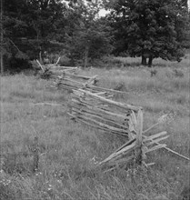 Rail fence with poor barbed wire fence in foreground, Person County, North Carolina, 1939. Creator: Dorothea Lange.