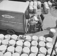 Barrels of fish on the docks at Fulton fish market ready to be shipped to retailers, New York, 1943. Creator: Gordon Parks.